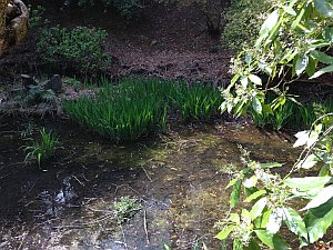 磐城平城本丸跡地