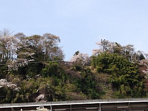 磐城平城本丸跡地