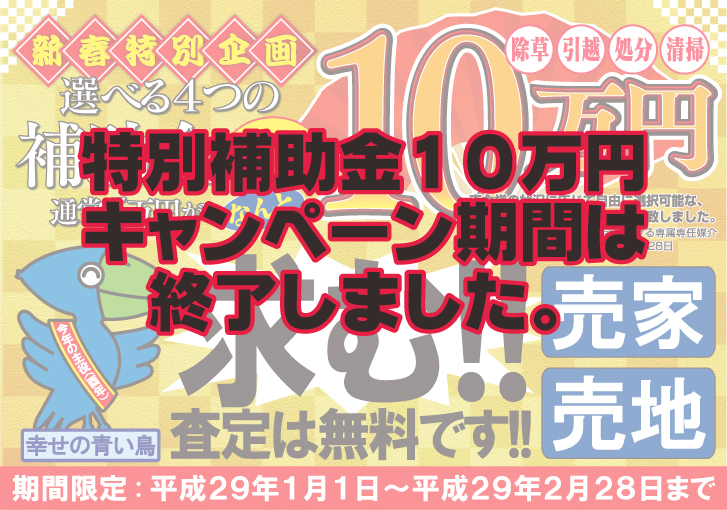 新春お年玉キャンペーン結果発表